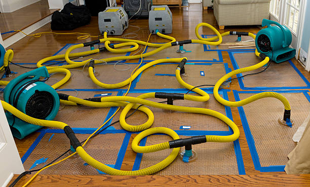 Professional Sewage Cleanup technician working in Templeton, MA
